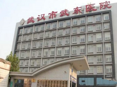 武汉市武东医院排污许可证证后管理工作外包服务项目